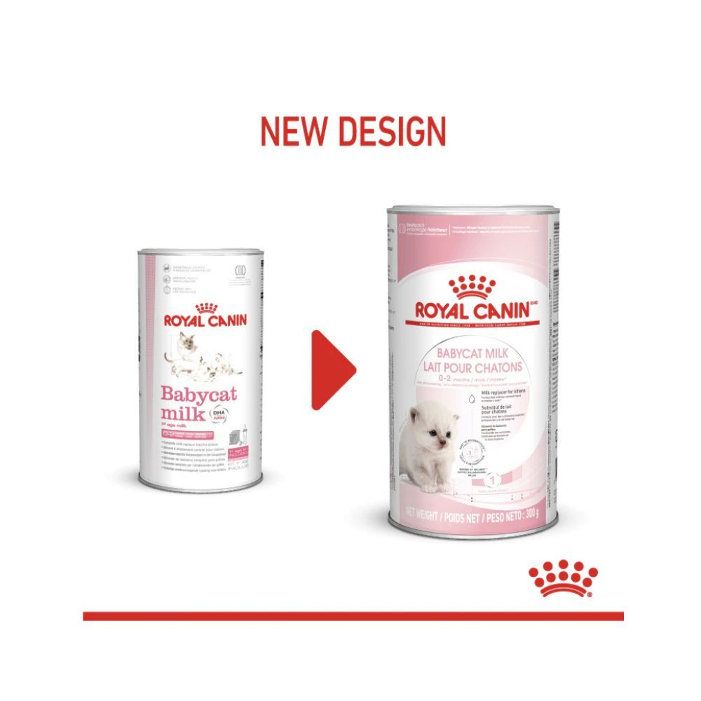 Royal Canin Babycat Milk - 300 g | Petzone KSA