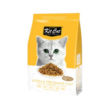 Kit Cat Kitten and Pregnant Healthy Growth Dry Cat Food - 1.2 kg